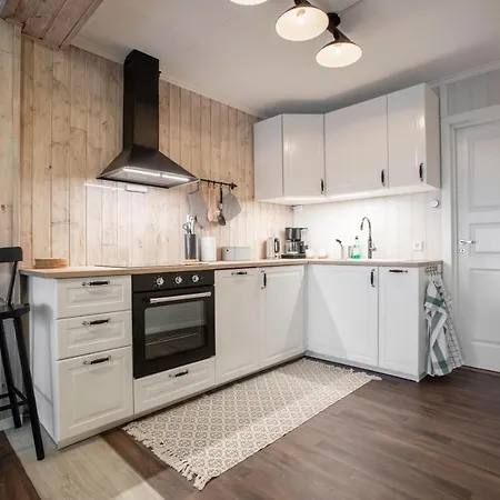 Sagi 5 Apartament Hafslo